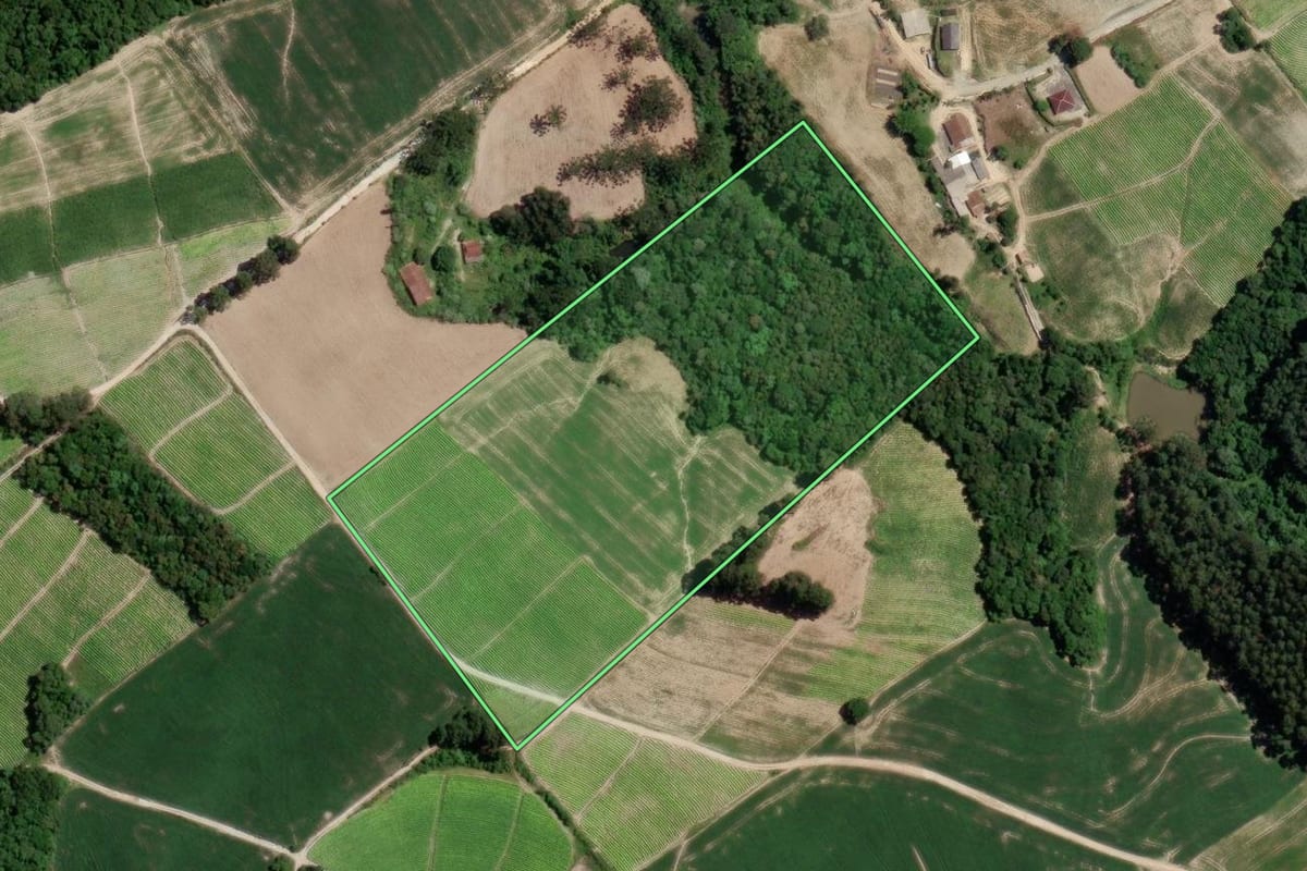 Imagem de satélite do imóvel rural em Rio Azul (PR), com o contorno declarado no CAR desenhado por cima.