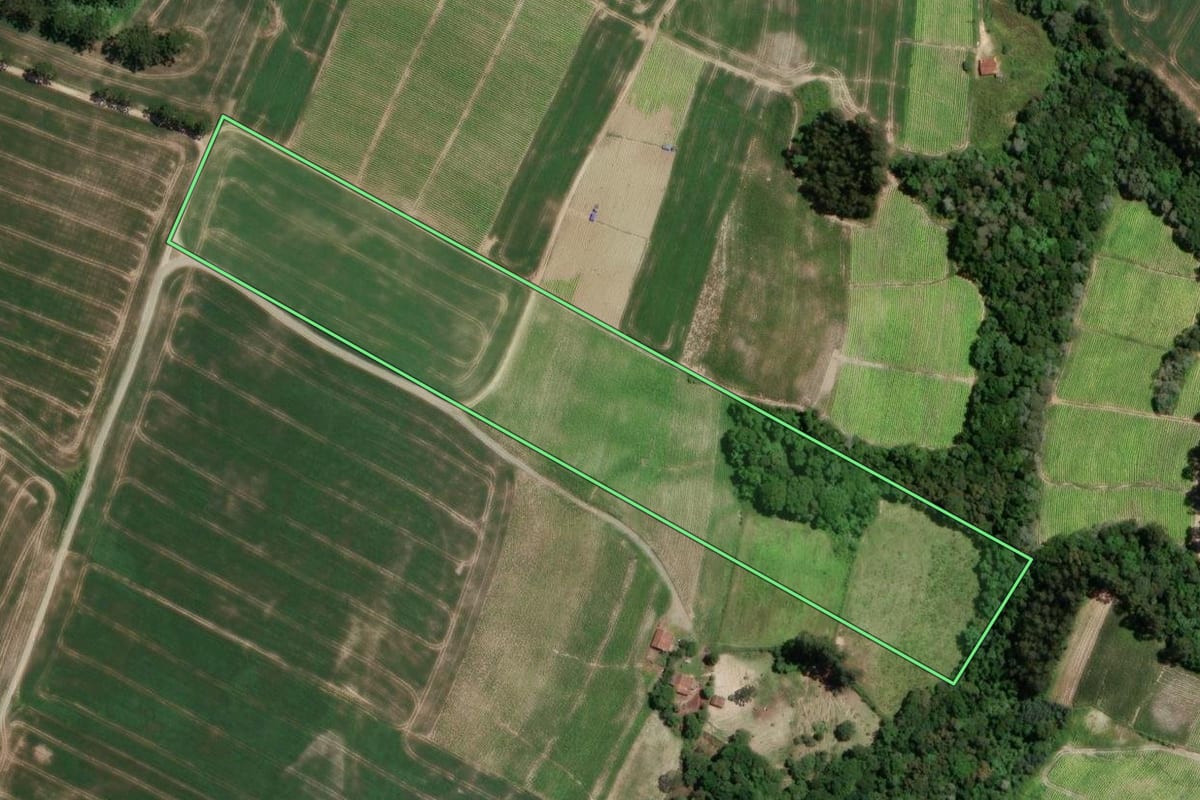 Imagem de satélite do imóvel rural em Rio Azul (PR), com o contorno declarado no CAR desenhado por cima.