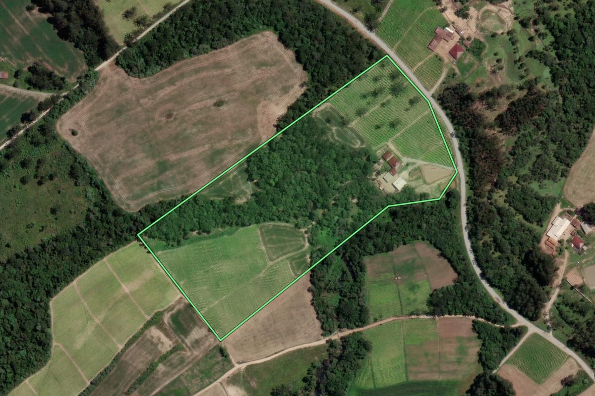 Imagem de satélite do imóvel rural em Rio Azul (PR), com o contorno declarado no CAR desenhado por cima.