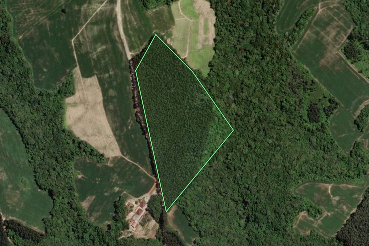 Imagem de satélite do imóvel rural em Rio Azul (PR), com o contorno declarado no CAR desenhado por cima.