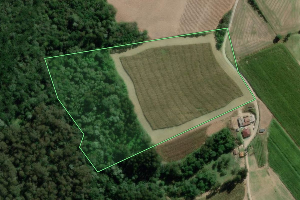Imagem de satélite do imóvel rural em Rio Azul (PR), com o contorno declarado no CAR desenhado por cima.