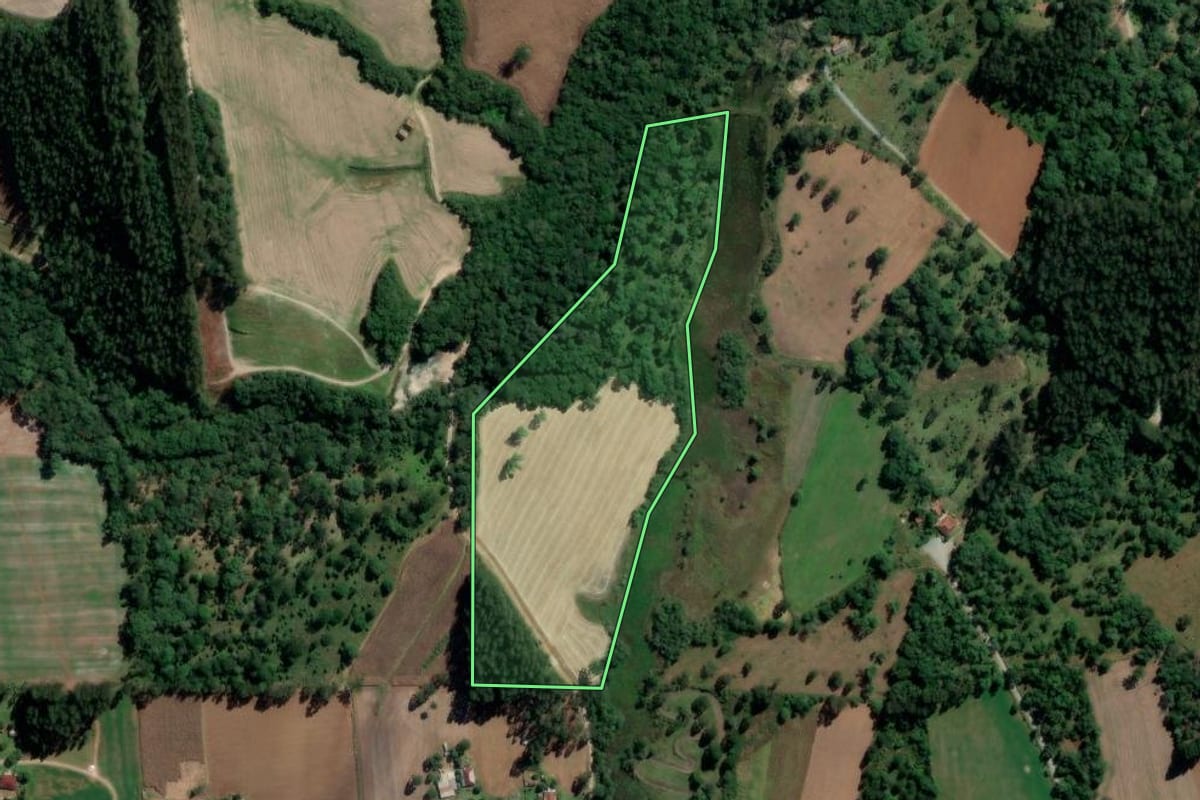Imagem de satélite do imóvel rural em Rio Azul (PR), com o contorno declarado no CAR desenhado por cima.