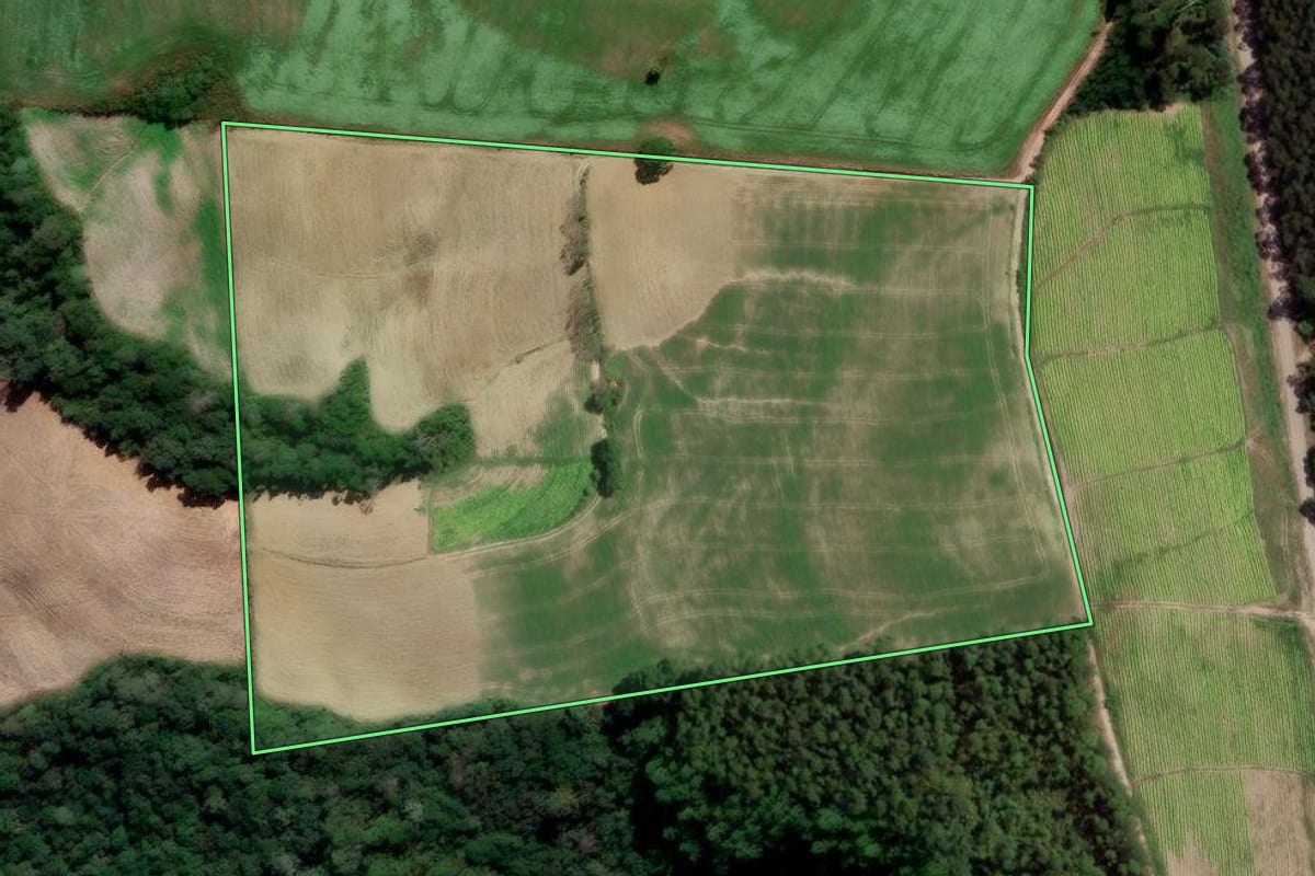 Imagem de satélite do imóvel rural em Rio Azul (PR), com o contorno declarado no CAR desenhado por cima.