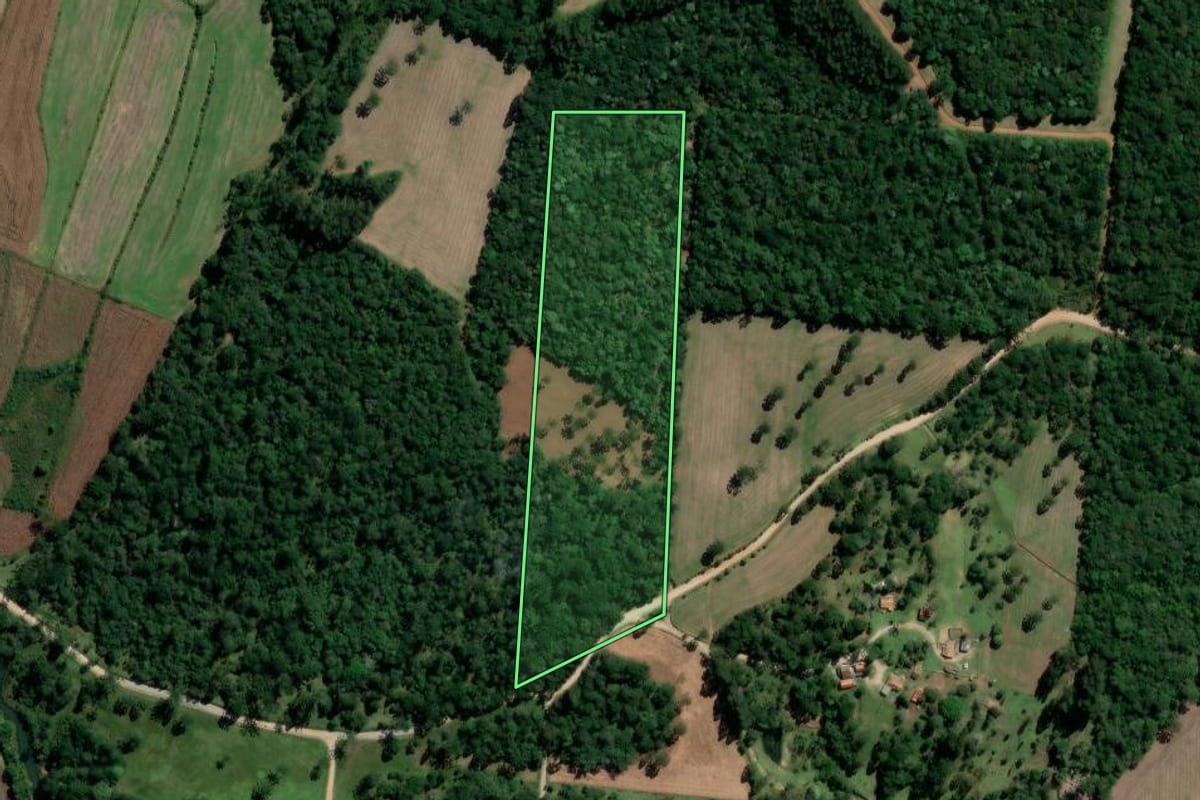 Imagem de satélite do imóvel rural em Rio Azul (PR), com o contorno declarado no CAR desenhado por cima.