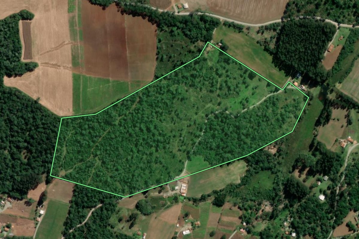 Imagem de satélite do imóvel rural em Rio Azul (PR), com o contorno declarado no CAR desenhado por cima.