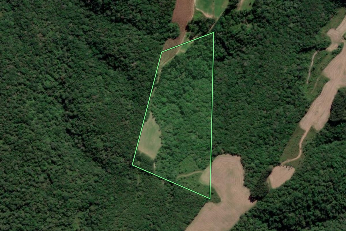 Imagem de satélite do imóvel rural em Rio Azul (PR), com o contorno declarado no CAR desenhado por cima.