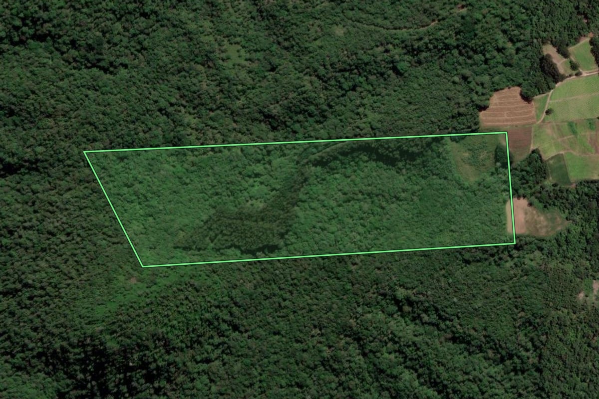 Imagem de satélite do imóvel rural em Rio Azul (PR), com o contorno declarado no CAR desenhado por cima.