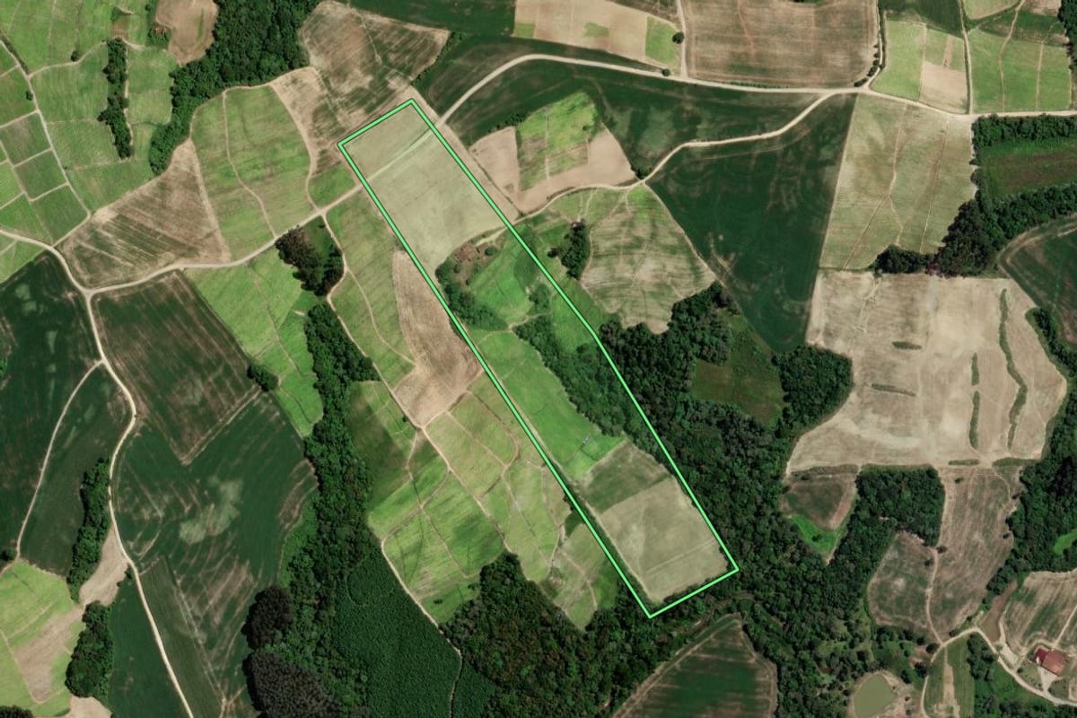 Imagem de satélite do imóvel rural em Rio Azul (PR), com o contorno declarado no CAR desenhado por cima.