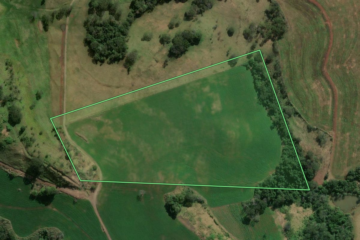 Imagem de satélite do imóvel rural em Rio Bom (PR), com o contorno declarado no CAR desenhado por cima.