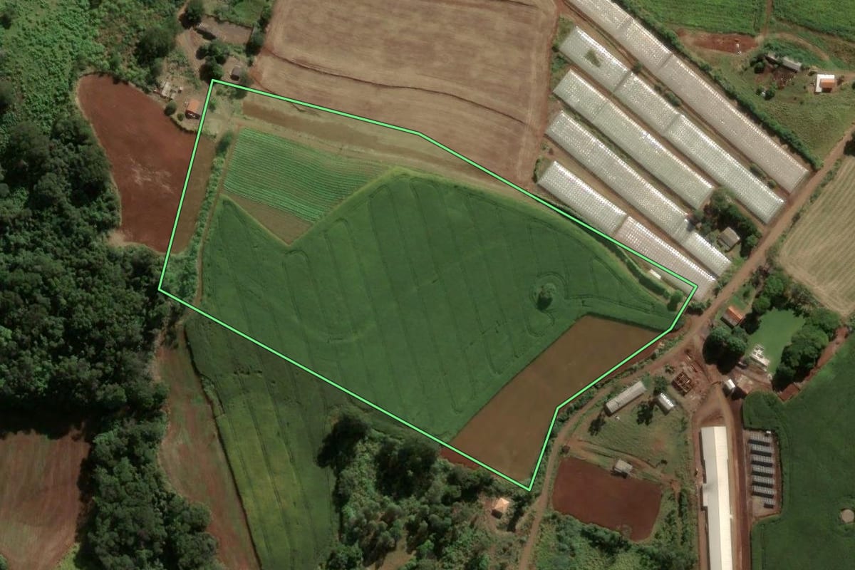 Imagem de satélite do imóvel rural em Rio Bom (PR), com o contorno declarado no CAR desenhado por cima.