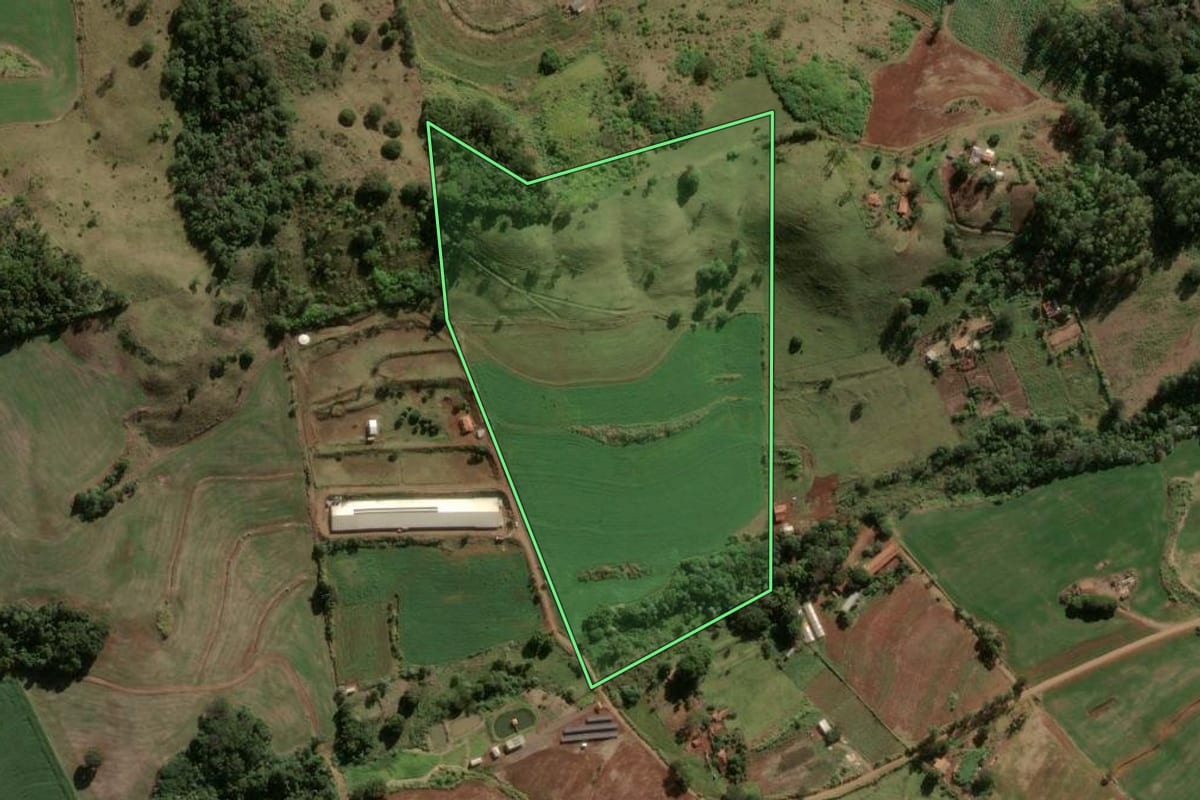 Imagem de satélite do imóvel rural em Rio Bom (PR), com o contorno declarado no CAR desenhado por cima.