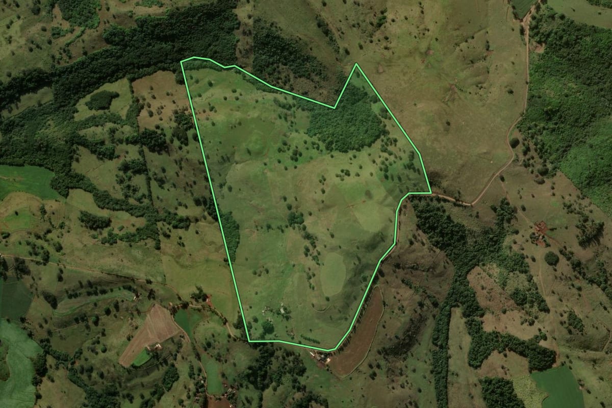 Imagem de satélite do imóvel rural em Rio Bom (PR), com o contorno declarado no CAR desenhado por cima.