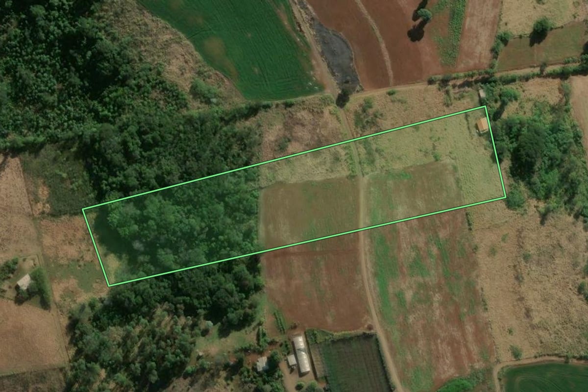 Imagem de satélite do imóvel rural em Rio Bom (PR), com o contorno declarado no CAR desenhado por cima.