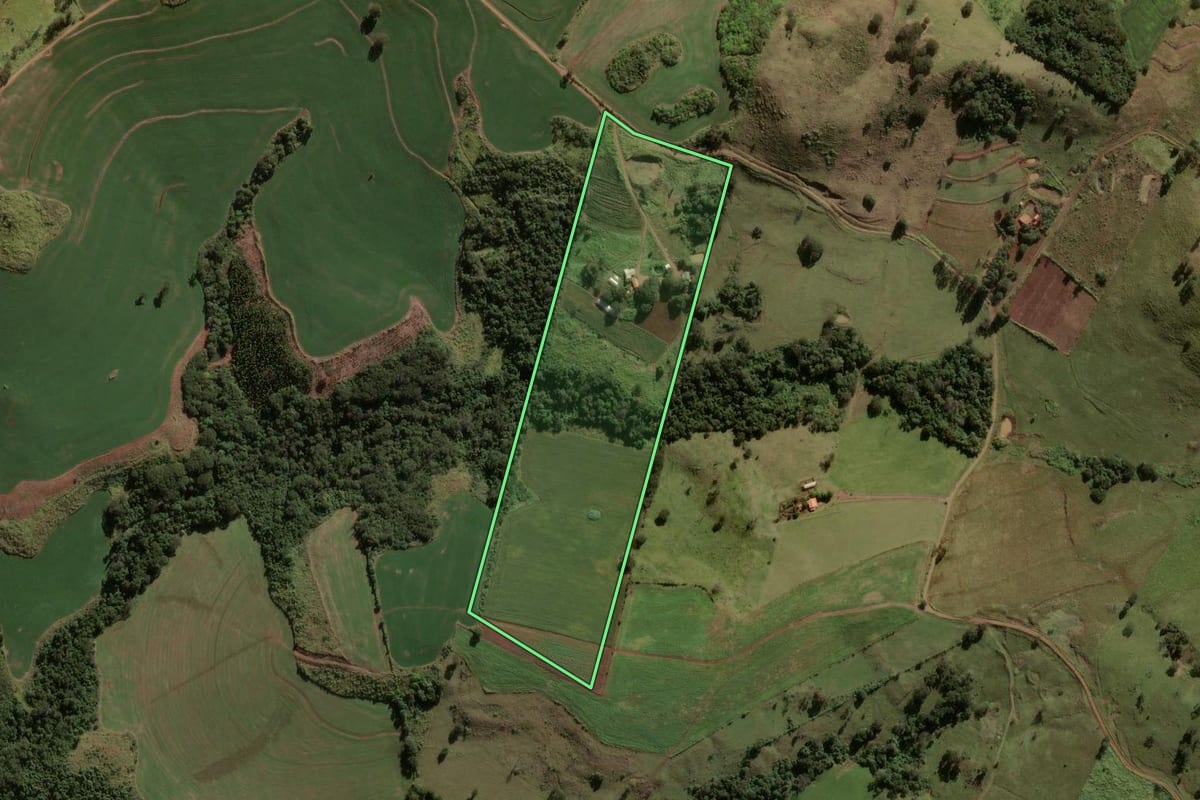 Imagem de satélite do imóvel rural em Rio Bom (PR), com o contorno declarado no CAR desenhado por cima.