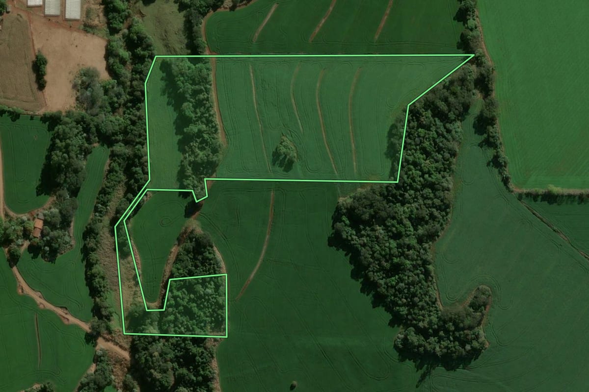 Imagem de satélite do imóvel rural em Rio Bom (PR), com o contorno declarado no CAR desenhado por cima.