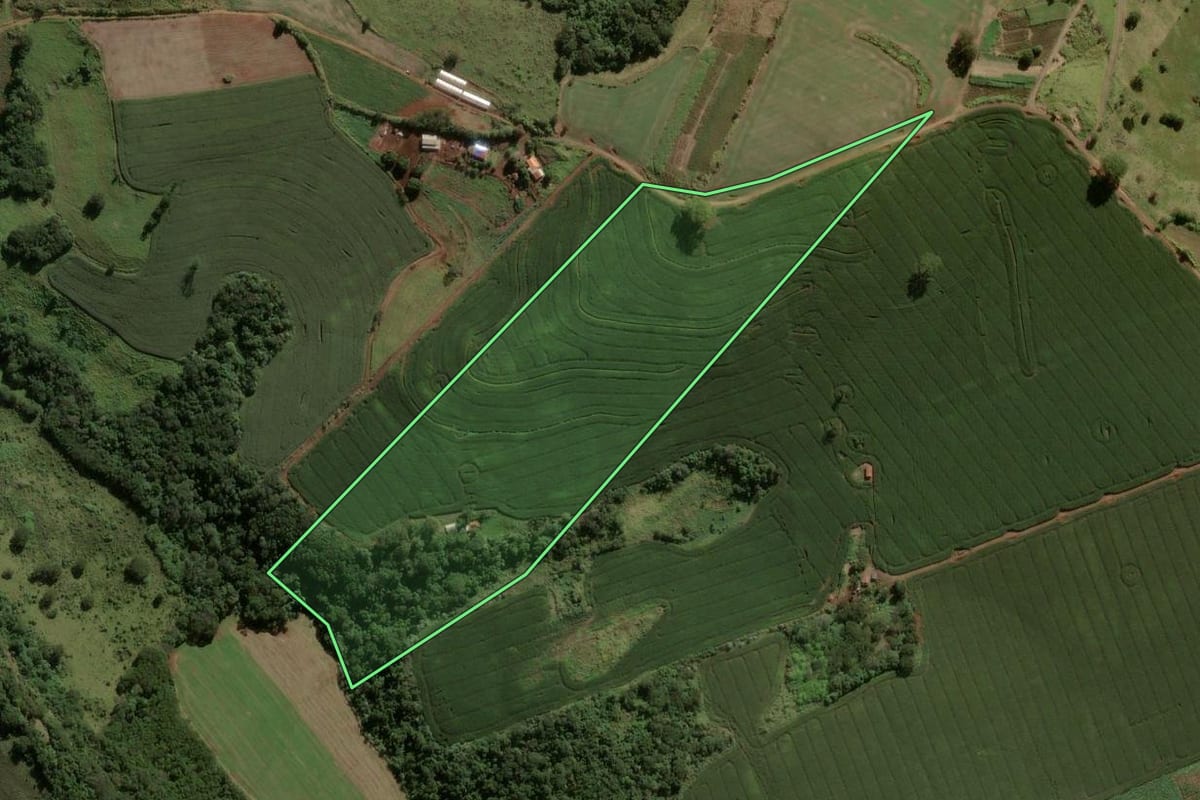 Imagem de satélite do imóvel rural em Rio Bom (PR), com o contorno declarado no CAR desenhado por cima.