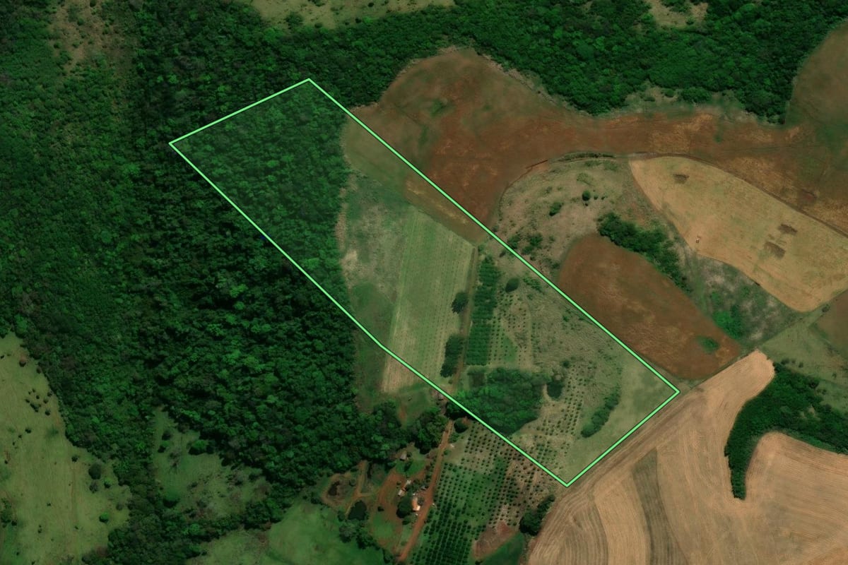 Imagem de satélite do imóvel rural em Rio Bonito do Iguaçu (PR), com o contorno declarado no CAR desenhado por cima.