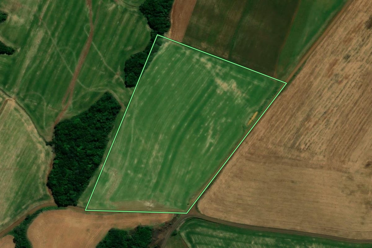 Imagem de satélite do imóvel rural em Rio Bonito do Iguaçu (PR), com o contorno declarado no CAR desenhado por cima.
