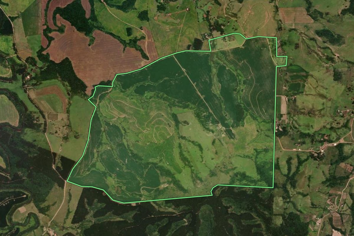 Imagem de satélite do imóvel rural em Rio Branco do Ivaí (PR), com o contorno declarado no CAR desenhado por cima.