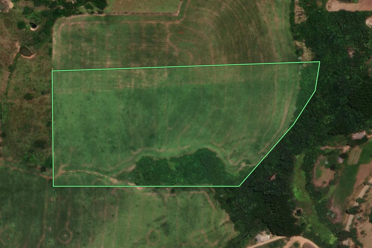 Imagem de satélite do imóvel rural em Rio Branco do Ivaí (PR), com o contorno declarado no CAR desenhado por cima.