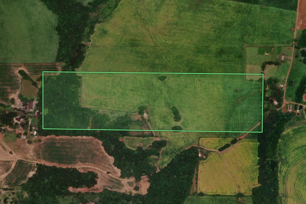 Imagem de satélite do imóvel rural em Rio Branco do Ivaí (PR), com o contorno declarado no CAR desenhado por cima.