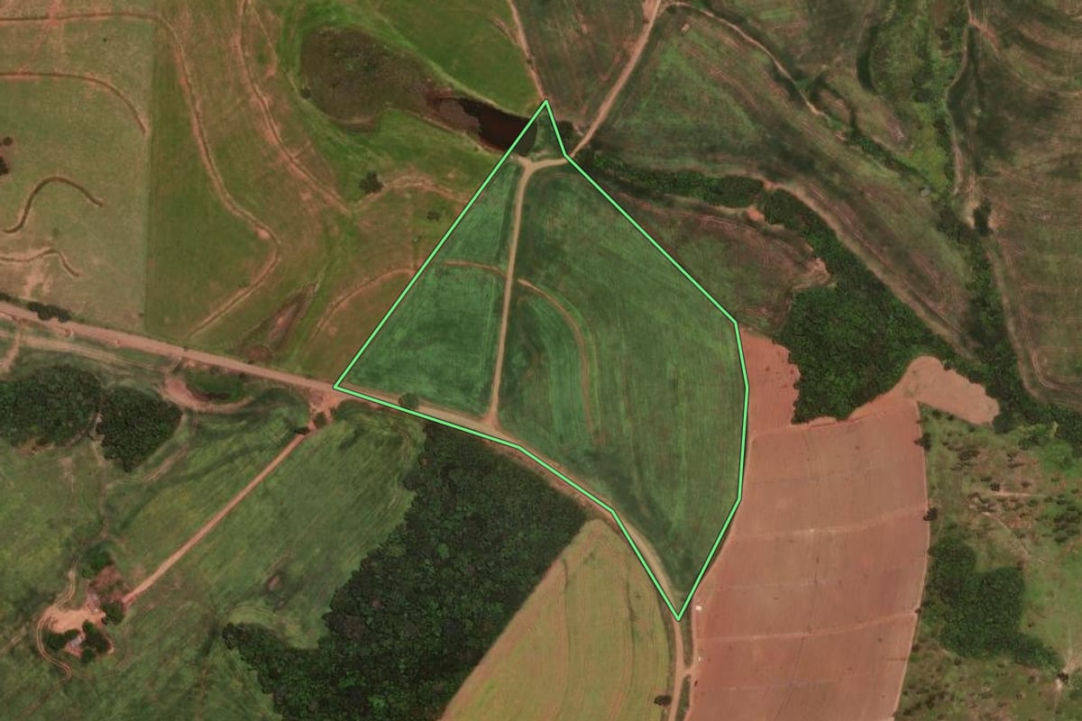 Imagem de satélite do imóvel rural em Rio Branco do Ivaí (PR), com o contorno declarado no CAR desenhado por cima.