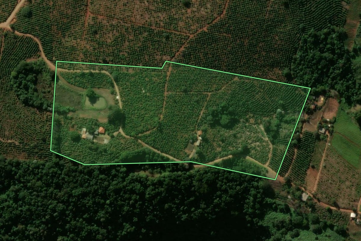 Imagem de satélite do imóvel rural em Rio Branco do Ivaí (PR), com o contorno declarado no CAR desenhado por cima.