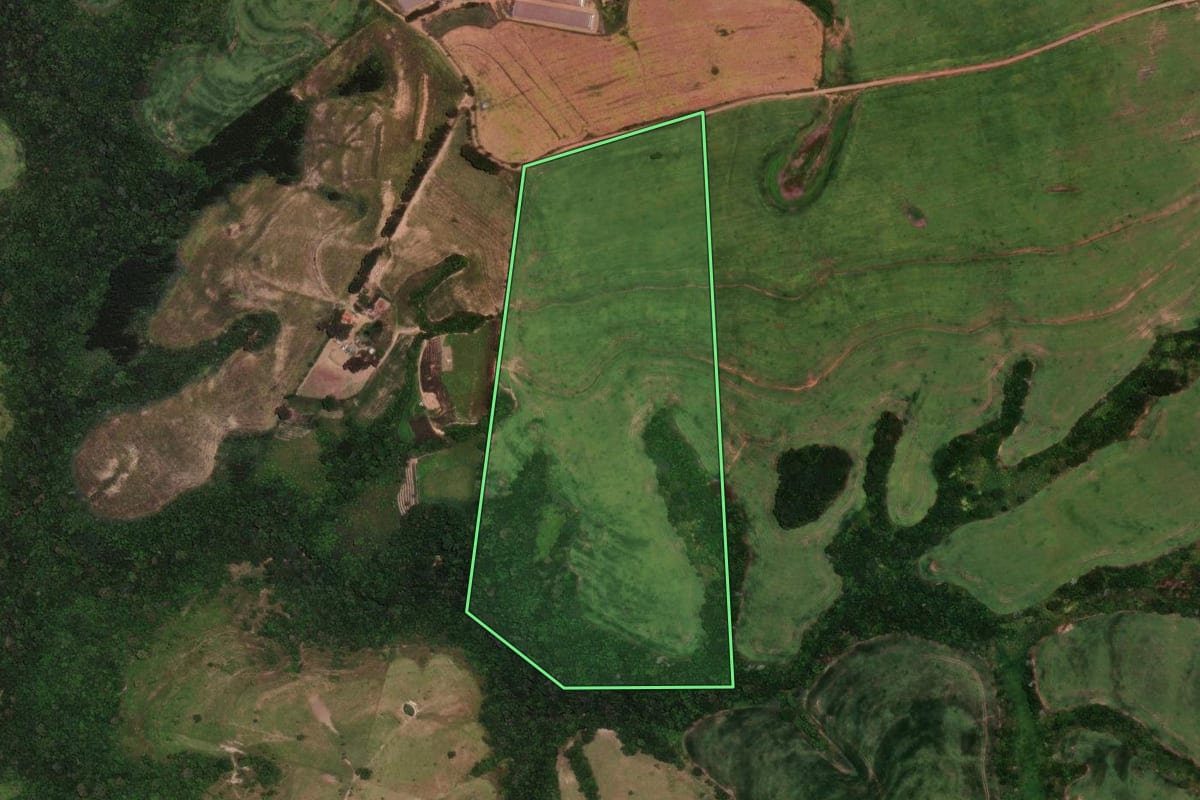 Imagem de satélite do imóvel rural em Rio Branco do Ivaí (PR), com o contorno declarado no CAR desenhado por cima.