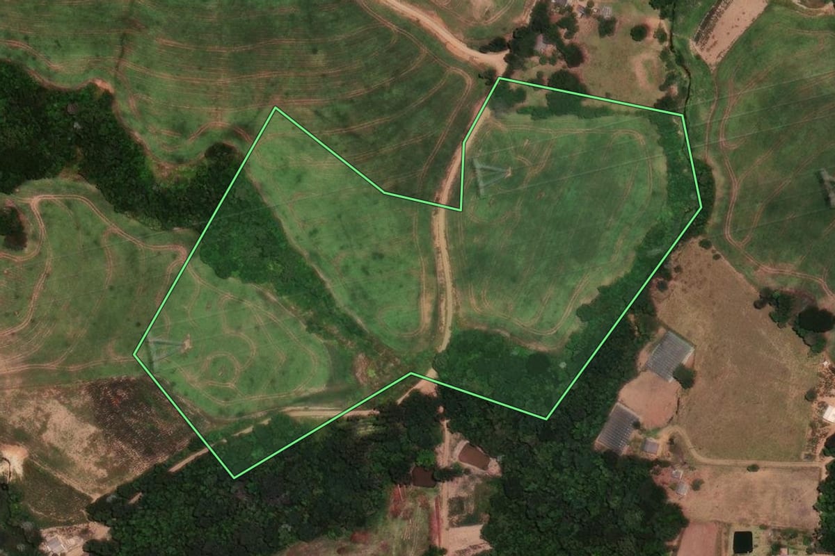 Imagem de satélite do imóvel rural em Rio Branco do Ivaí (PR), com o contorno declarado no CAR desenhado por cima.