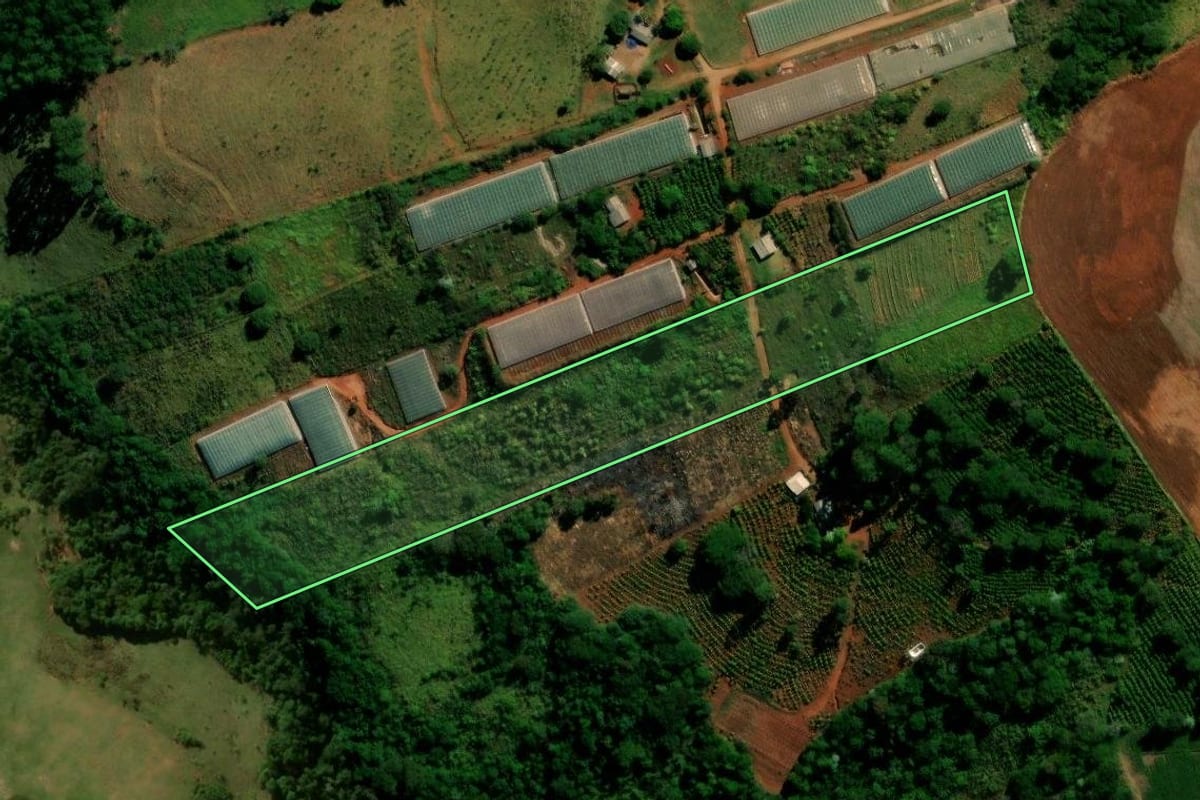 Imagem de satélite do imóvel rural em Rio Branco do Ivaí (PR), com o contorno declarado no CAR desenhado por cima.