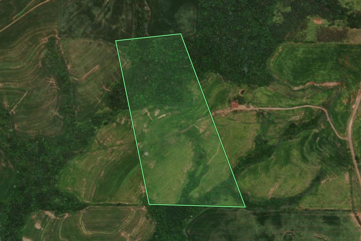 Imagem de satélite do imóvel rural em Rio Branco do Ivaí (PR), com o contorno declarado no CAR desenhado por cima.