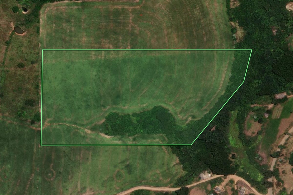 Imagem de satélite do imóvel rural em Rio Branco do Ivaí (PR), com o contorno declarado no CAR desenhado por cima.