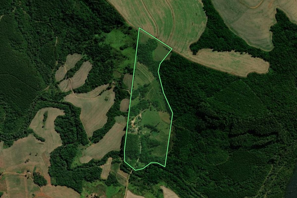 Imagem de satélite do imóvel rural em Rio Branco do Ivaí (PR), com o contorno declarado no CAR desenhado por cima.