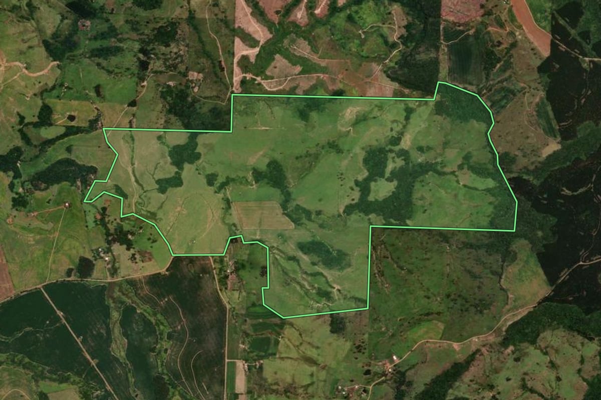 Imagem de satélite do imóvel rural em Rio Branco do Ivaí (PR), com o contorno declarado no CAR desenhado por cima.