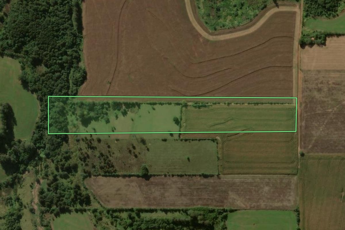 Imagem de satélite do imóvel rural em Rio Branco do Ivaí (PR), com o contorno declarado no CAR desenhado por cima.
