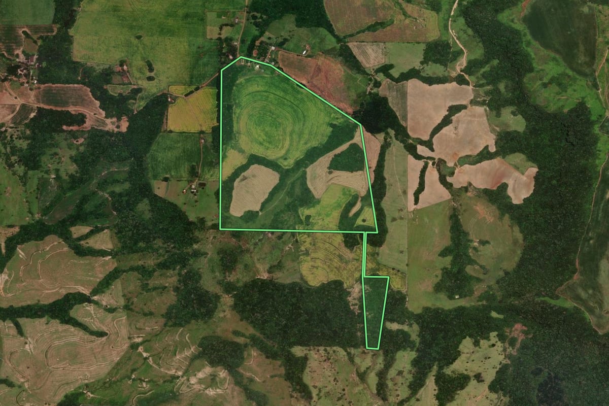 Imagem de satélite do imóvel rural em Rio Branco do Ivaí (PR), com o contorno declarado no CAR desenhado por cima.