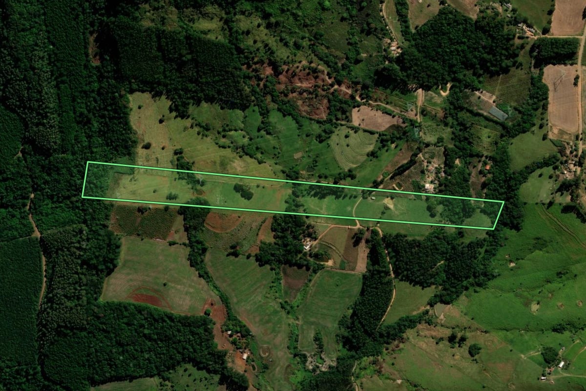 Imagem de satélite do imóvel rural em Rio Branco do Ivaí (PR), com o contorno declarado no CAR desenhado por cima.