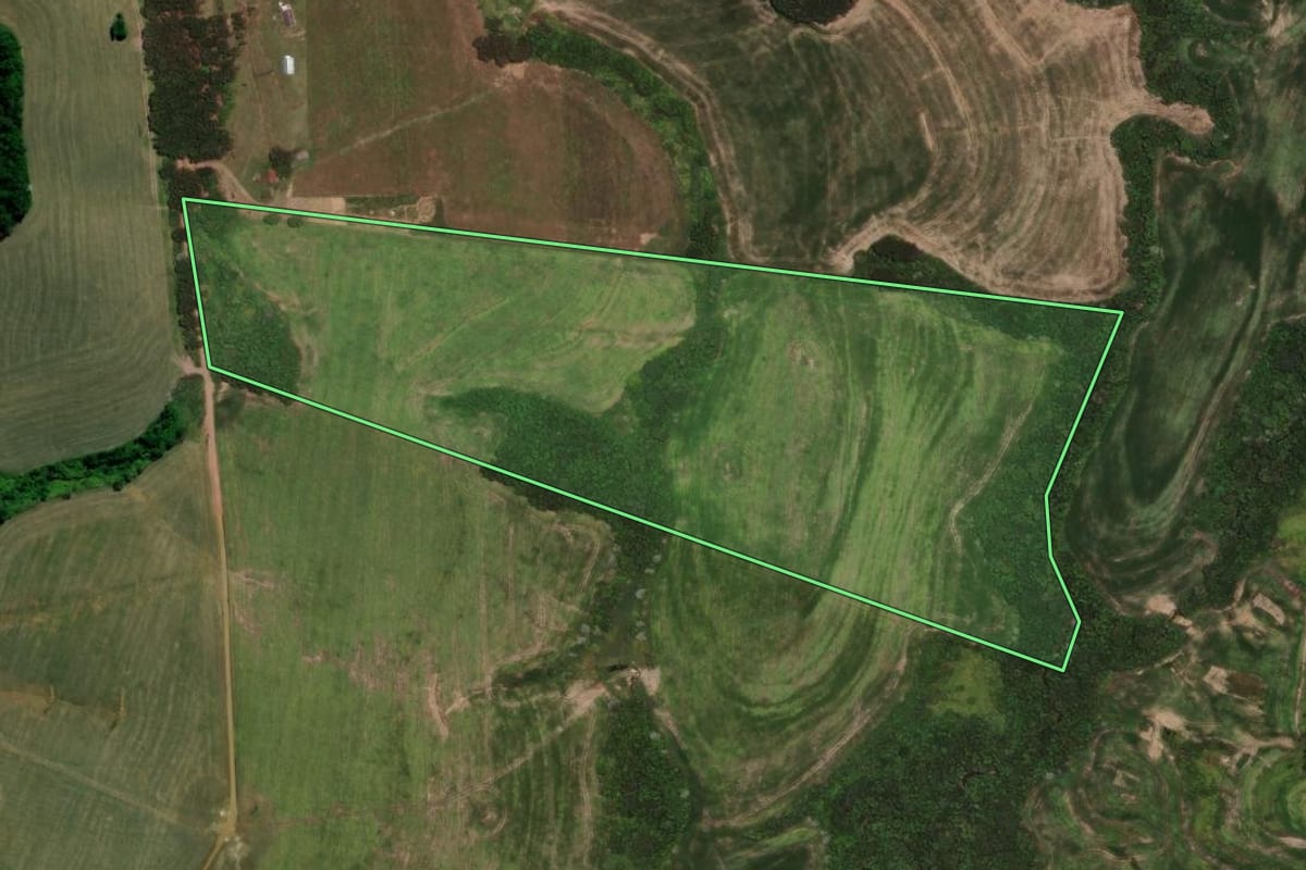 Imagem de satélite do imóvel rural em Rio Branco do Ivaí (PR), com o contorno declarado no CAR desenhado por cima.