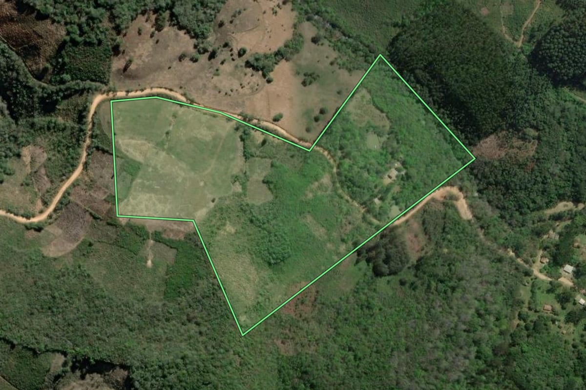 Imagem de satélite do imóvel rural em Rio Branco do Sul (PR), com o contorno declarado no CAR desenhado por cima.