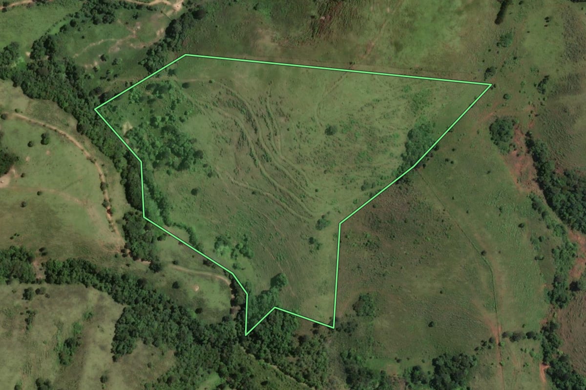Imagem de satélite do imóvel rural em Rio Branco do Sul (PR), com o contorno declarado no CAR desenhado por cima.