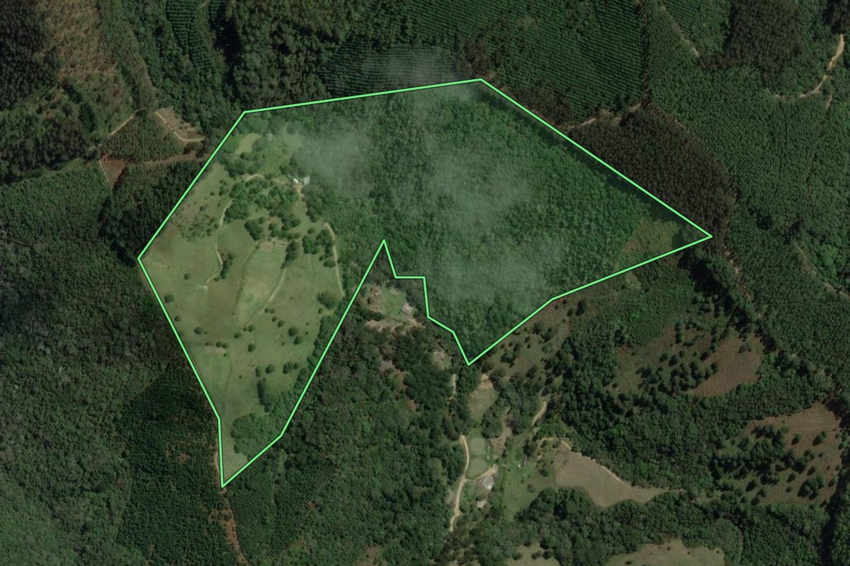 Imagem de satélite do imóvel rural em Rio Branco do Sul (PR), com o contorno declarado no CAR desenhado por cima.