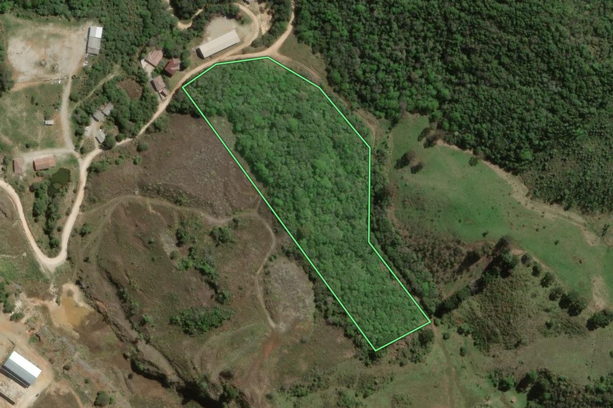 Imagem de satélite do imóvel rural em Rio Branco do Sul (PR), com o contorno declarado no CAR desenhado por cima.