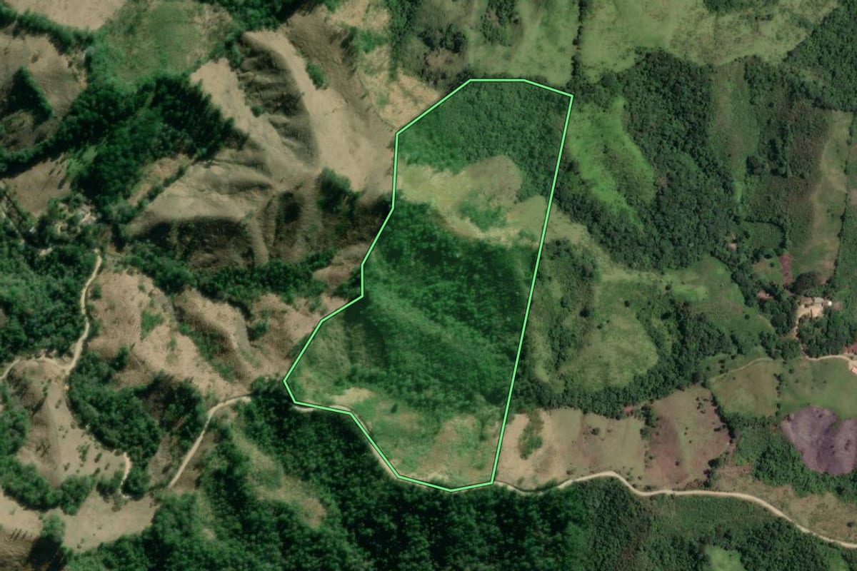 Imagem de satélite do imóvel rural em Rio Branco do Sul (PR), com o contorno declarado no CAR desenhado por cima.
