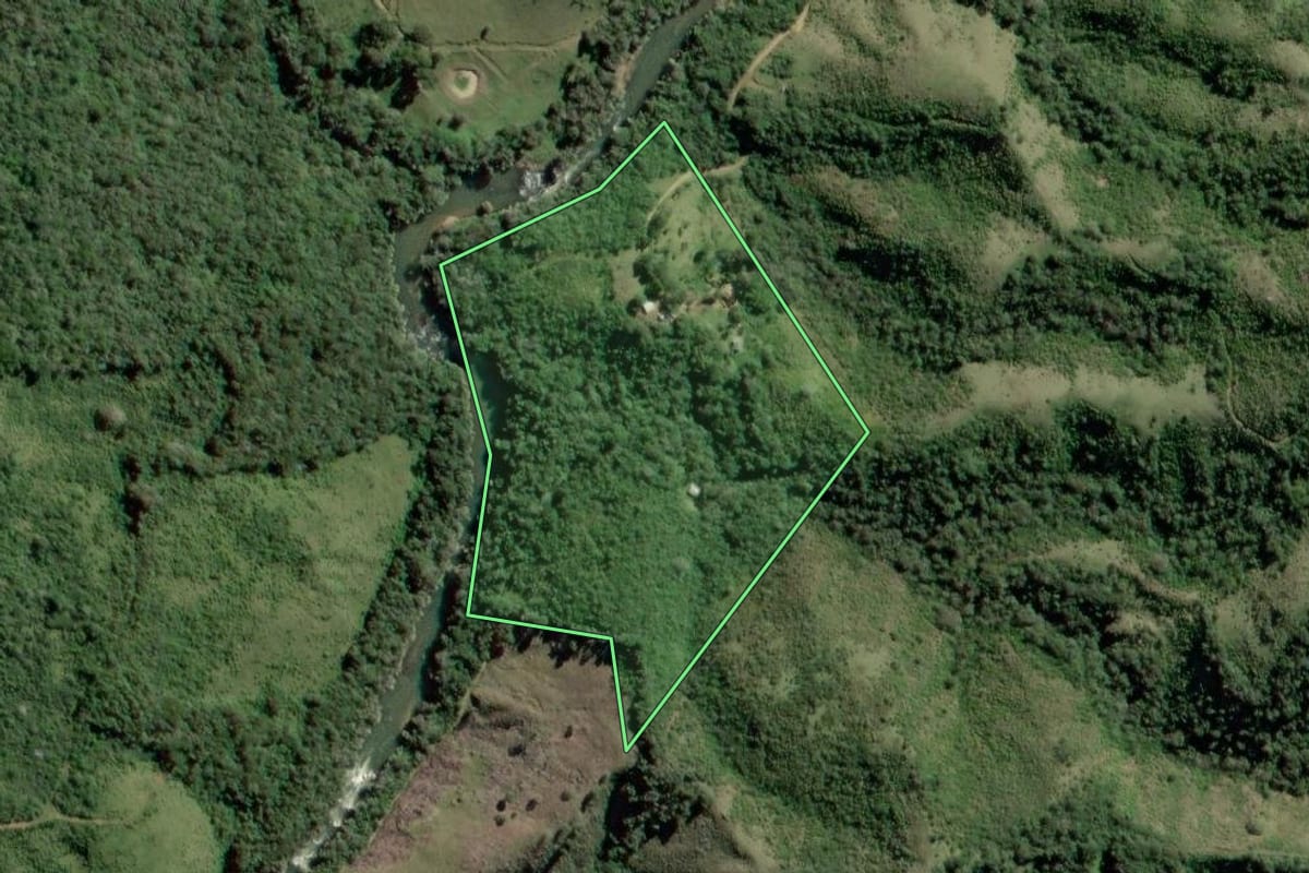 Imagem de satélite do imóvel rural em Rio Branco do Sul (PR), com o contorno declarado no CAR desenhado por cima.