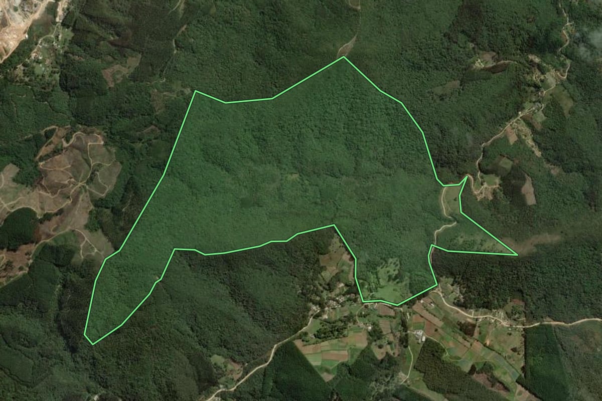 Imagem de satélite do imóvel rural em Rio Branco do Sul (PR), com o contorno declarado no CAR desenhado por cima.