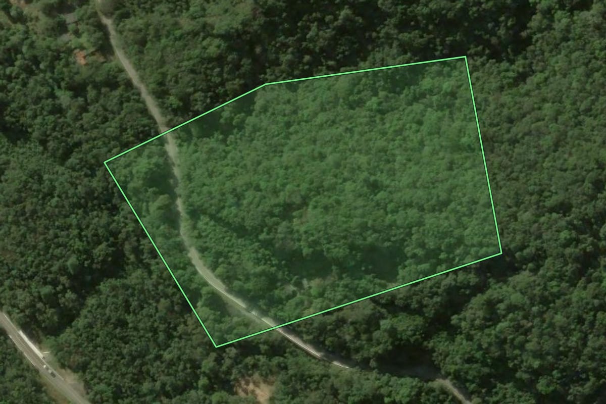 Imagem de satélite do imóvel rural em Rio Branco do Sul (PR), com o contorno declarado no CAR desenhado por cima.