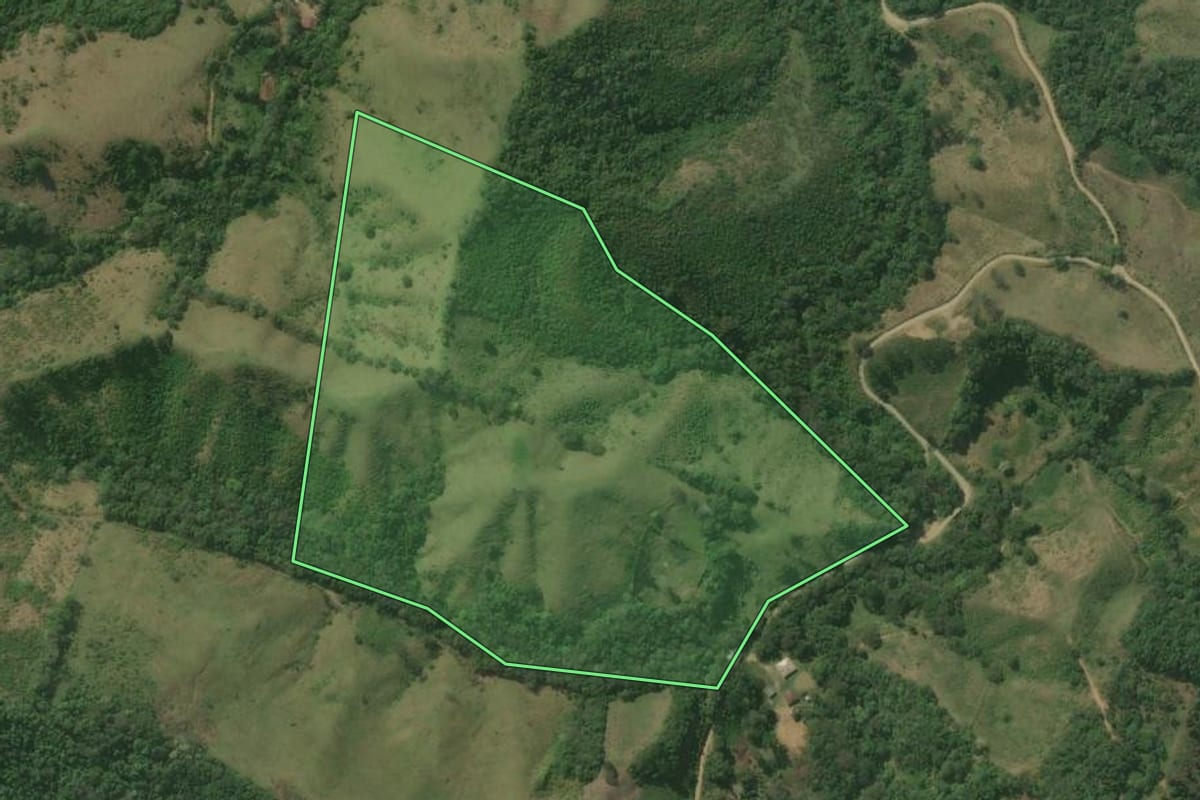 Imagem de satélite do imóvel rural em Rio Branco do Sul (PR), com o contorno declarado no CAR desenhado por cima.