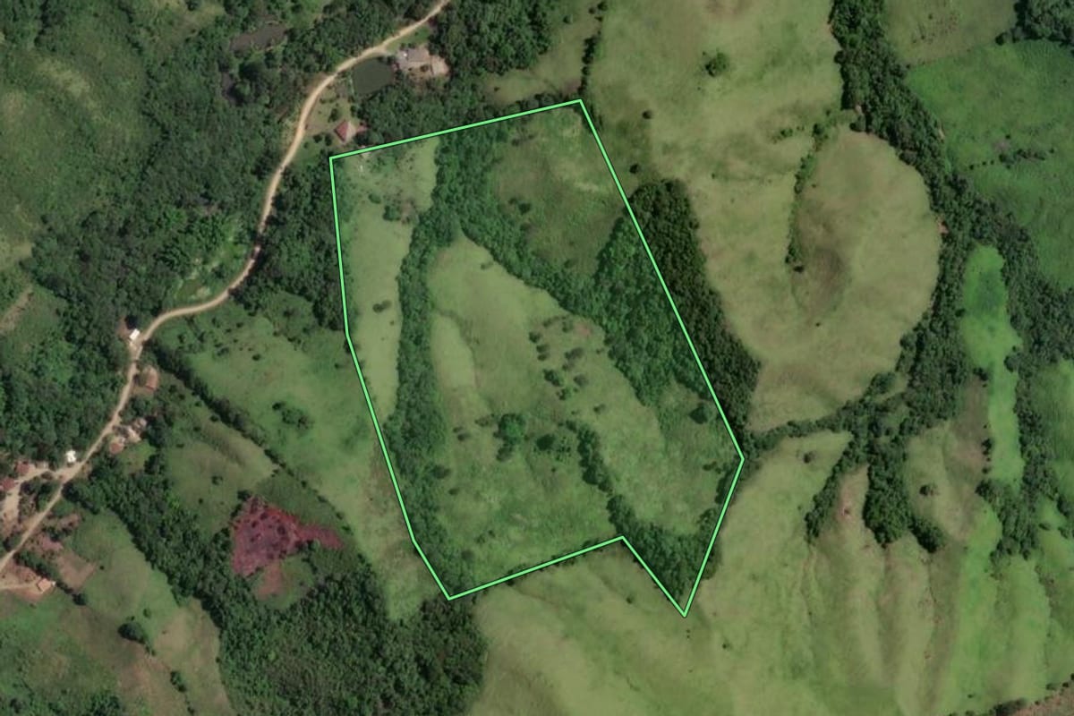 Imagem de satélite do imóvel rural em Rio Branco do Sul (PR), com o contorno declarado no CAR desenhado por cima.