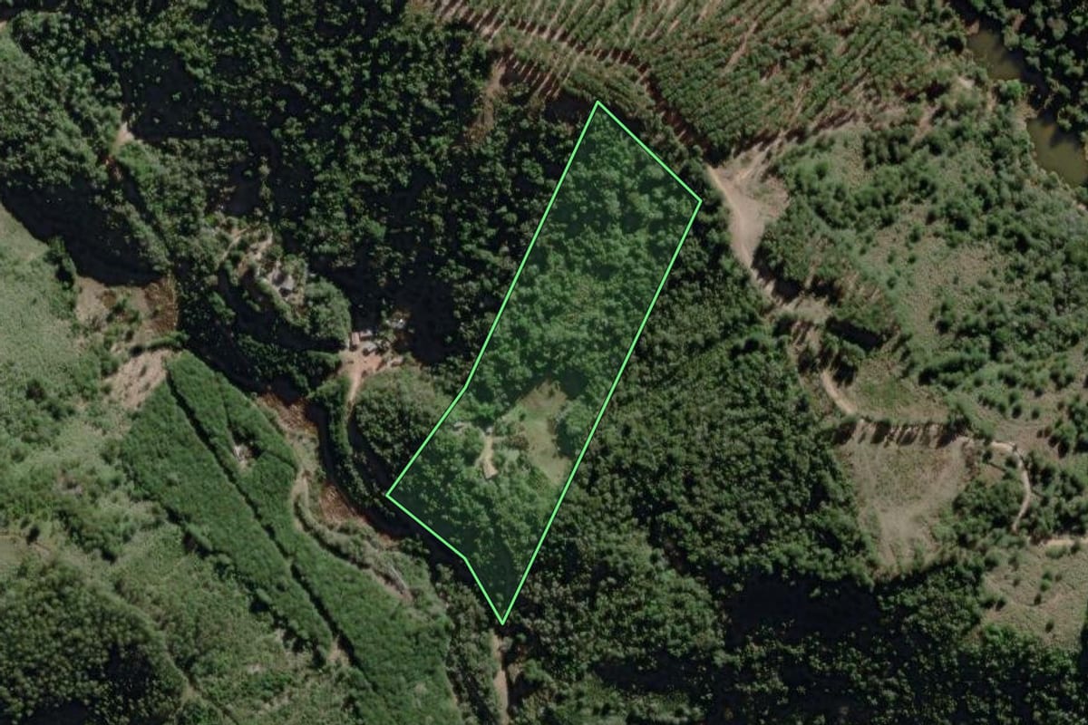 Imagem de satélite do imóvel rural em Rio Branco do Sul (PR), com o contorno declarado no CAR desenhado por cima.