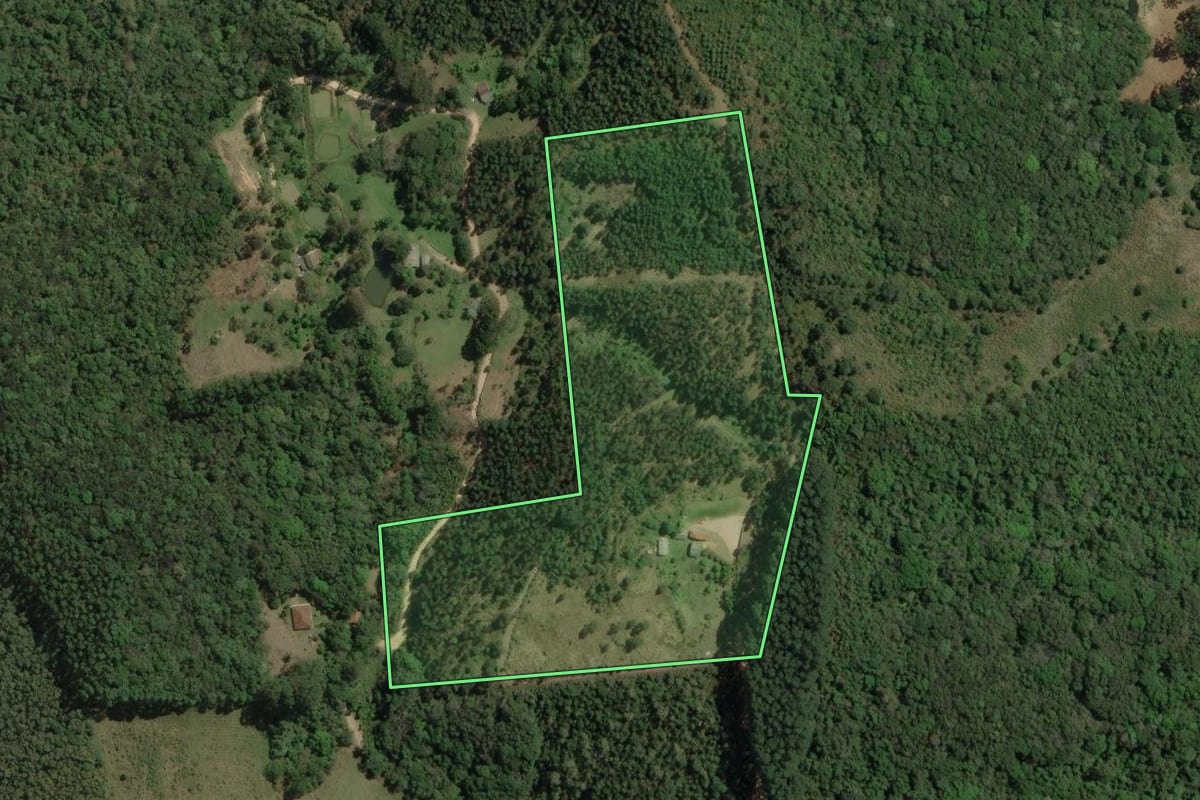 Imagem de satélite do imóvel rural em Rio Branco do Sul (PR), com o contorno declarado no CAR desenhado por cima.